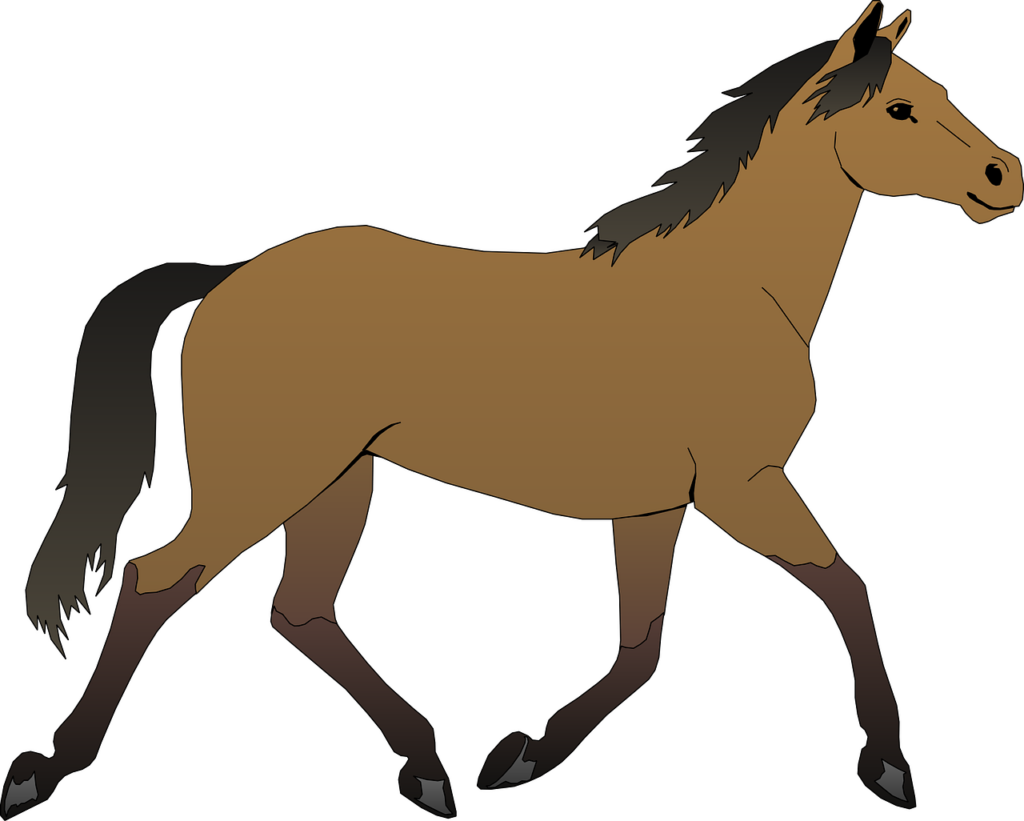 Pferd Illustration