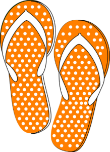 Flip Flops